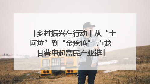 乡村振兴在行动丨从“土坷垃”到“金疙瘩” 卢龙甘薯串起富民产业链