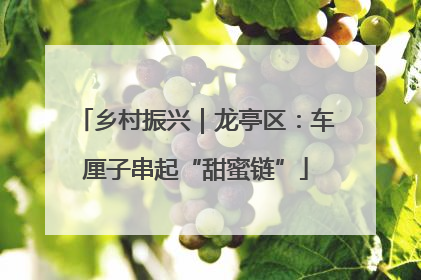 乡村振兴｜龙亭区：车厘子串起“甜蜜链”