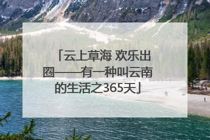 云上草海 欢乐出圈——有一种叫云南的生活之365天