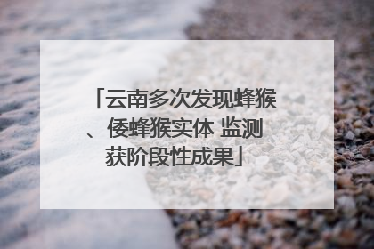 云南多次发现蜂猴、倭蜂猴实体 监测获阶段性成果