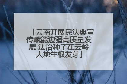云南开展民法典宣传赋能边疆高质量发展 法治种子在云岭大地生根发芽