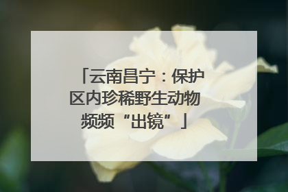云南昌宁：保护区内珍稀野生动物频频“出镜”