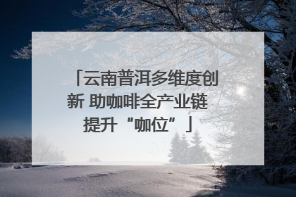 云南普洱多维度创新 助咖啡全产业链提升“咖位”