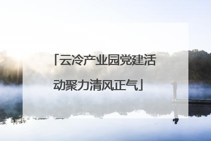 云冷产业园党建活动聚力清风正气