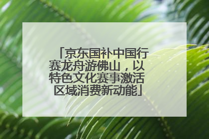 京东国补中国行赛龙舟游佛山，以特色文化赛事激活区域消费新动能