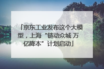 京东工业发布这个大模型，上海“链动众城 万亿降本”计划启动