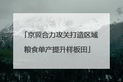 京冀合力攻关打造区域粮食单产提升样板田