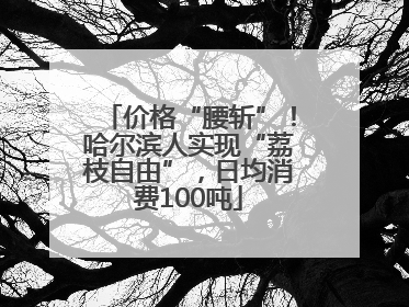 价格“腰斩”！哈尔滨人实现“荔枝自由”，日均消费100吨
