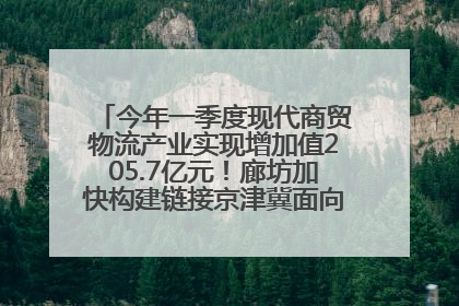 今年一季度现代商贸物流产业实现增加值205.7亿元！廊坊加快构建链接京津冀面向全世界的物流通道