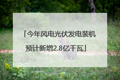 今年风电光伏发电装机预计新增2.8亿千瓦