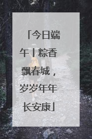 今日端午丨粽香飘春城，岁岁年年长安康