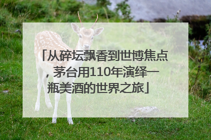 从碎坛飘香到世博焦点，茅台用110年演绎一瓶美酒的世界之旅