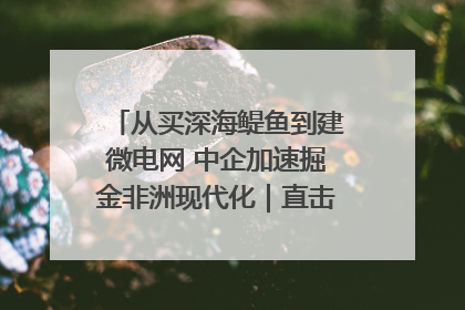 从买深海鳀鱼到建微电网 中企加速掘金非洲现代化｜直击中非经贸博览会