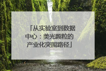 从实验室到数据中心：美光颗粒的产业化突围路径