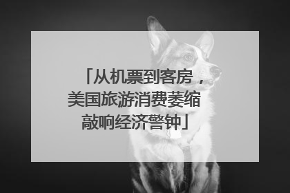 从机票到客房，美国旅游消费萎缩敲响经济警钟