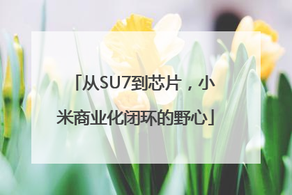 从SU7到芯片，小米商业化闭环的野心