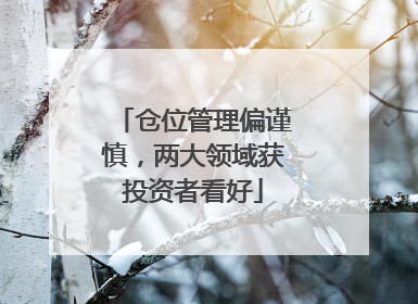仓位管理偏谨慎，两大领域获投资者看好