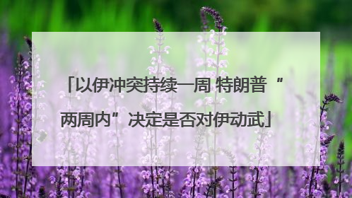 以伊冲突持续一周 特朗普“两周内”决定是否对伊动武
