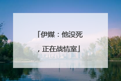 伊媒：他没死，正在战情室
