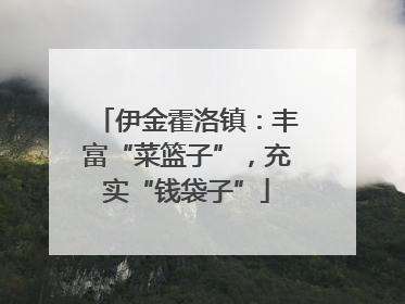 伊金霍洛镇：丰富“菜篮子”，充实“钱袋子”