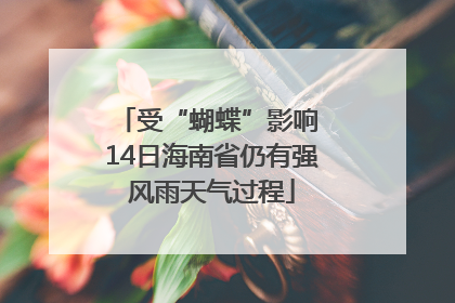 受“蝴蝶”影响 14日海南省仍有强风雨天气过程