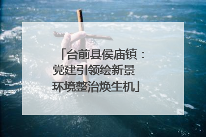 台前县侯庙镇：党建引领绘新景 环境整治焕生机