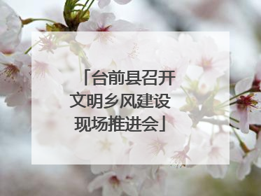 台前县召开文明乡风建设现场推进会