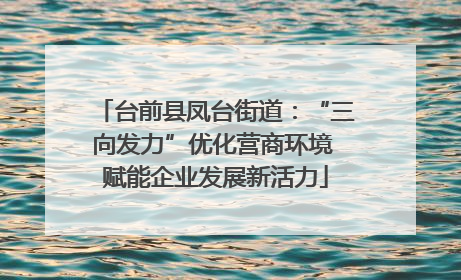 台前县凤台街道：“三向发力”优化营商环境 赋能企业发展新活力