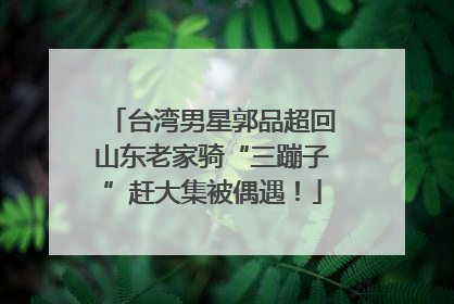 台湾男星郭品超回山东老家骑“三蹦子”赶大集被偶遇！