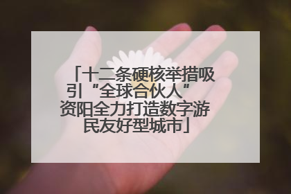 十二条硬核举措吸引“全球合伙人” 资阳全力打造数字游民友好型城市