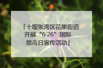 十堰张湾区花果街道开展“6·26”国际禁毒日宣传活动