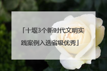 十堰3个新时代文明实践案例入选省级优秀