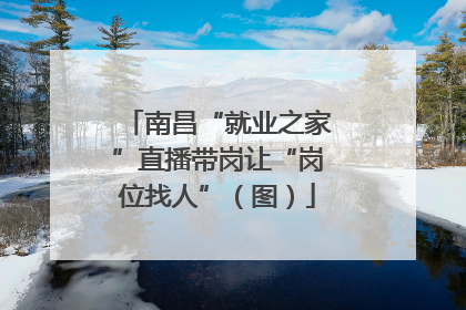 南昌“就业之家”直播带岗让“岗位找人”（图）