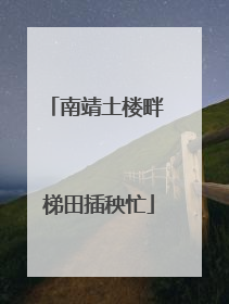 南靖土楼畔 梯田插秧忙