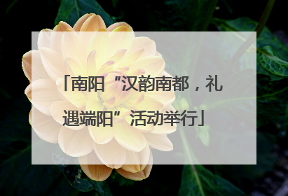南阳“汉韵南都，礼遇端阳”活动举行