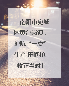 南阳市宛城区黄台岗镇：护航“三夏”生产 田间抢收正当时