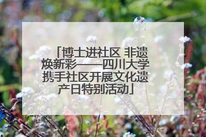 博士进社区 非遗焕新彩——四川大学携手社区开展文化遗产日特别活动
