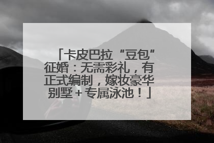 卡皮巴拉“豆包”征婚：无需彩礼，有正式编制，嫁妆豪华别墅＋专属泳池！