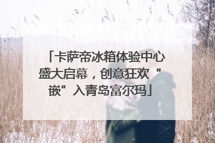 卡萨帝冰箱体验中心盛大启幕，创意狂欢“嵌”入青岛富尔玛