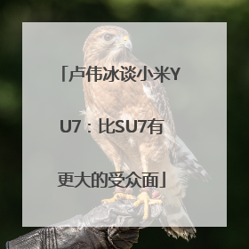 卢伟冰谈小米YU7：比SU7有更大的受众面