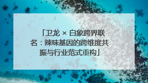 卫龙 × 白象跨界联名：辣味基因的跨维度共振与行业范式重构