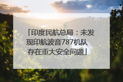 印度民航总局：未发现印航波音787机队存在重大安全问题