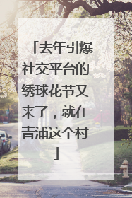 去年引爆社交平台的绣球花节又来了，就在青浦这个村