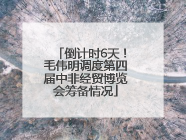 倒计时6天！毛伟明调度第四届中非经贸博览会筹备情况