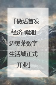 做活首发经济 赣湘边奥莱数字生活城正式开业