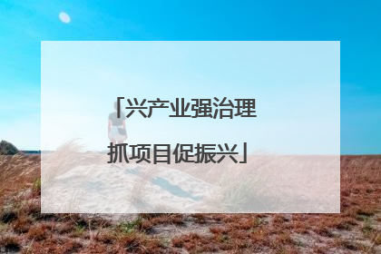兴产业强治理 抓项目促振兴