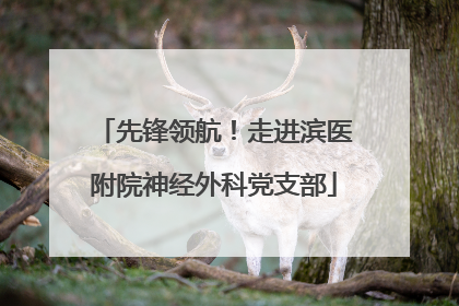 先锋领航！走进滨医附院神经外科党支部