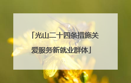 光山二十四条措施关爱服务新就业群体