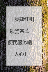 党建红引领警务蓝 便民服务暖人心