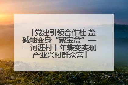 党建引领合作社 盐碱地变身“聚宝盆”——河涯村十年蝶变实现产业兴村群众富